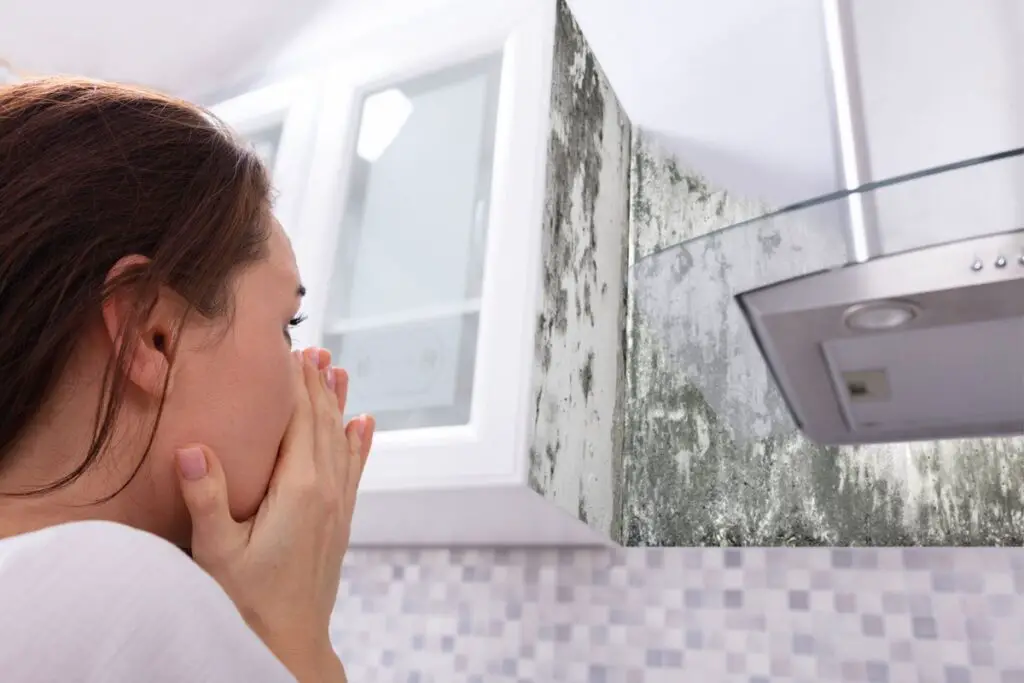 comment enlever l'odeur de renfermé dans une maison